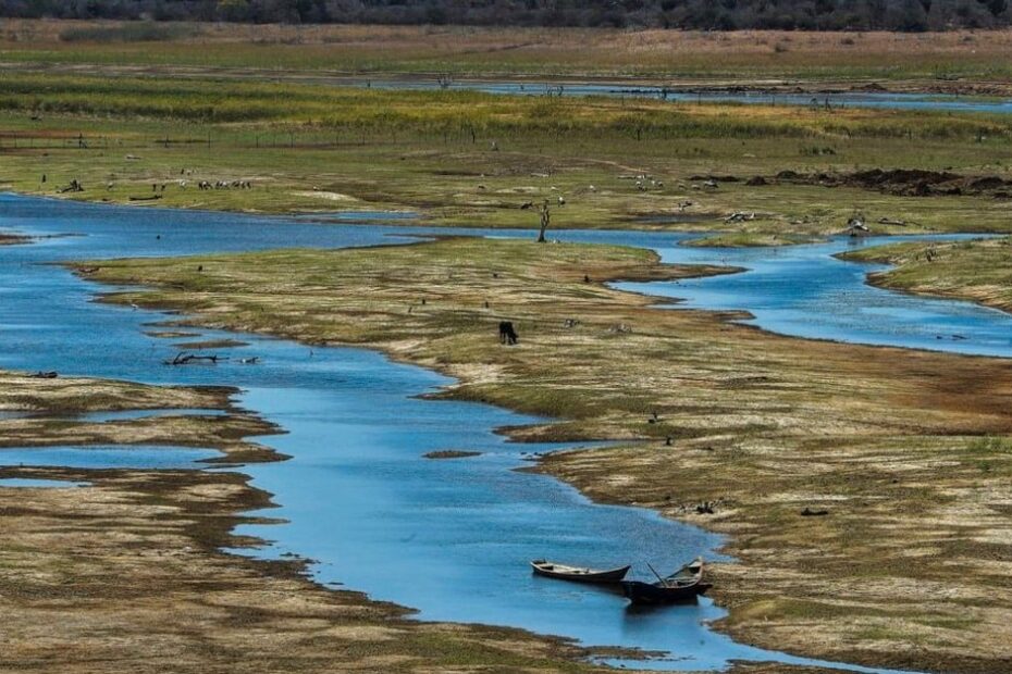 Pacheco pede ao governo federal medidas contra seca no norte de Minas