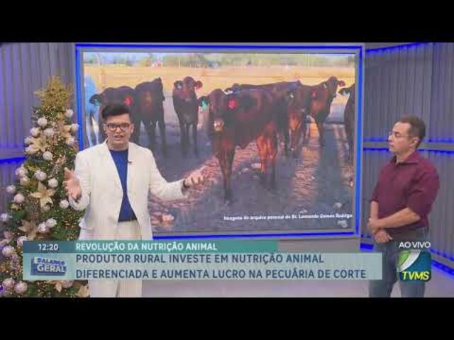 Produtor rural investe em nutrição animal diferenciada e aumenta lucro na pecuária de corte - Diário Digital