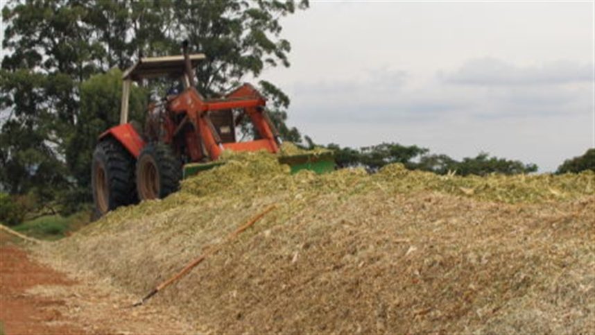 O Portal do conteúdo Agropecuário. Confira: Noticias atualizadas, Previsão do tempo, cotações, sistemas especialistas de produtos agro, Colunistas, Classificados gerais.