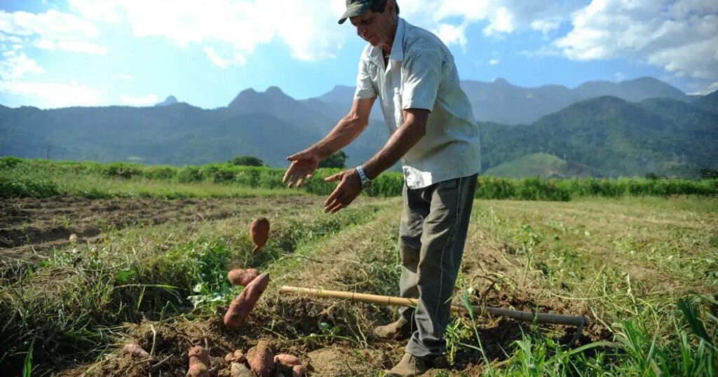 Marca Bahia Notícias Municípios