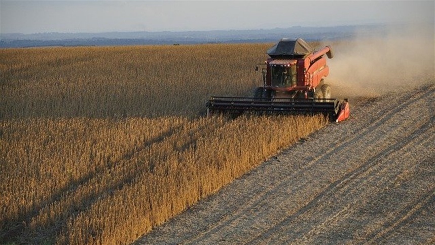 Produção de grãos deve ter queda de 3,2%, diz IBGE