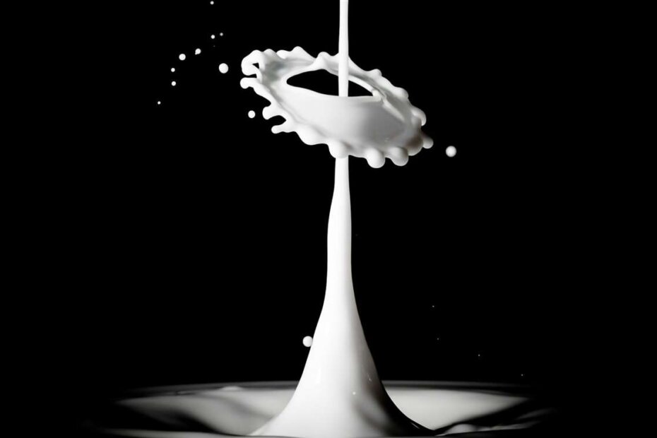 produtor lácteos lucratividade estiagem mercado