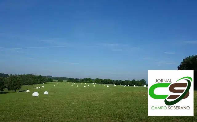 Adaptabilidade ao Clima e Solo