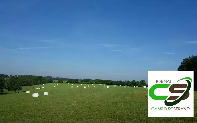 Adaptabilidade ao Clima e Solo Adaptabilidade ao Clima e Solo