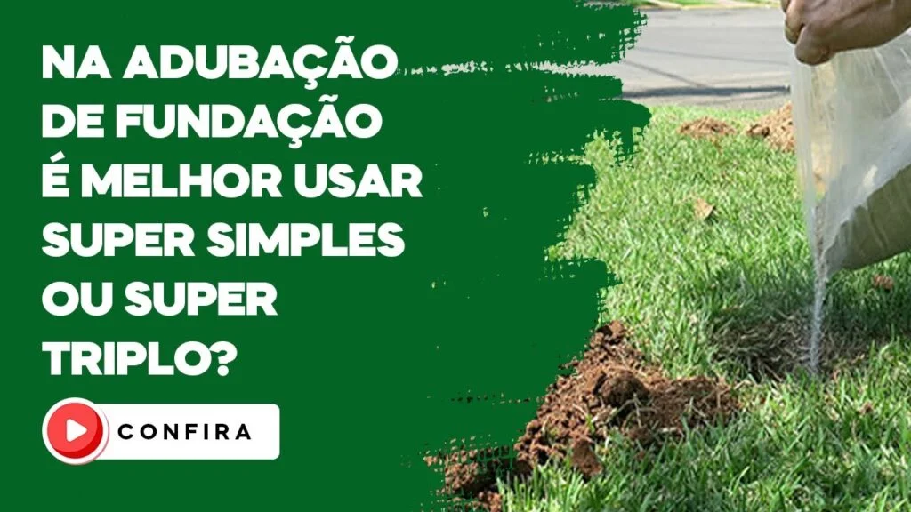 Adubação de fundação: Simples ou Triplo? 2 adubacao de fundacao simples ou triplo