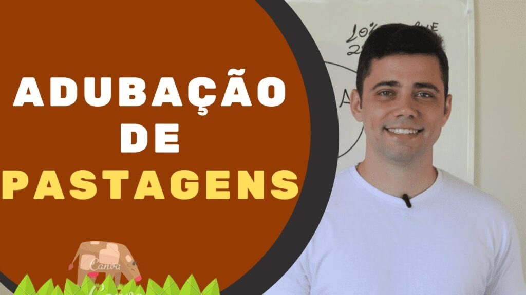 Adubação de pastagens: necessidade ou dispensável? 25 adubacao de pastagens necessidade ou dispensavel