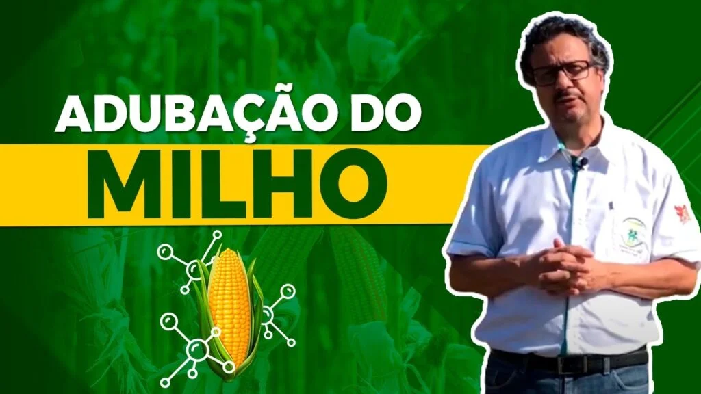 "Adubação eficiente do milho" - Prof João Galvão 🌽 2 adubacao eficiente do milho prof joao galvao f09f8cbd