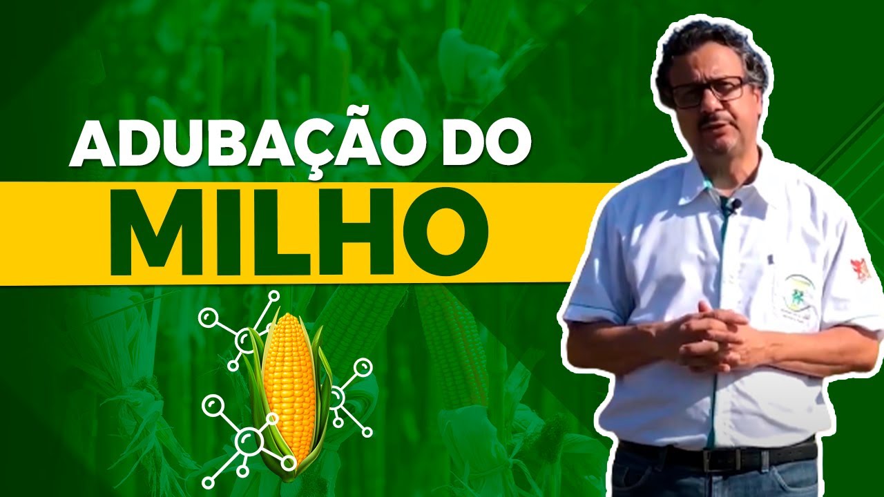 “Adubação eficiente do milho” – Prof João Galvão 🌽