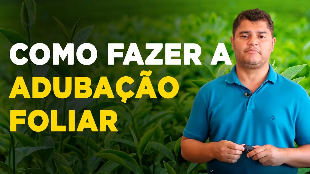 adubacao foliar importancia e tecnica