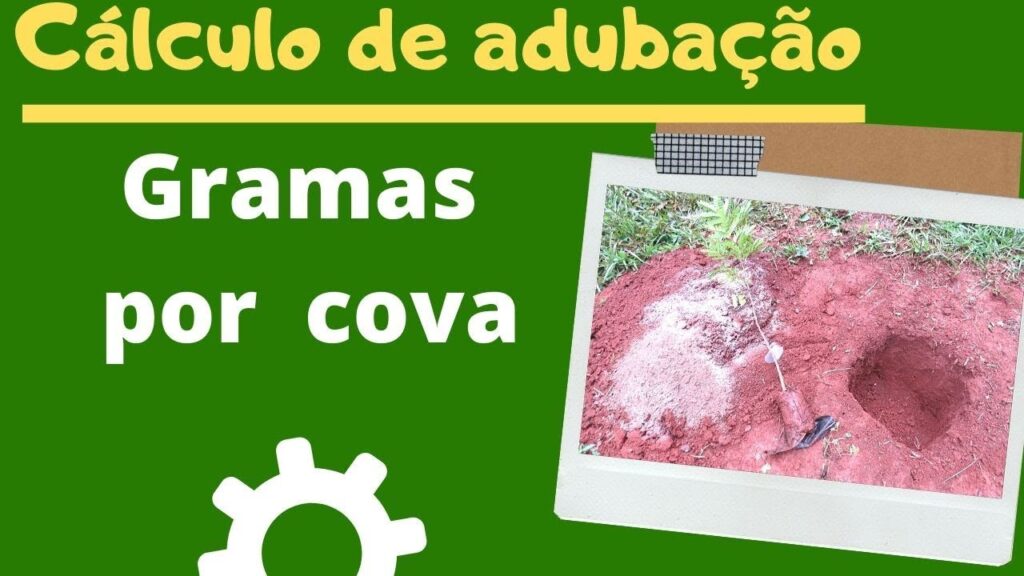 Adubação por cova: cálculo em gramas 4 adubacao por cova calculo em gramas