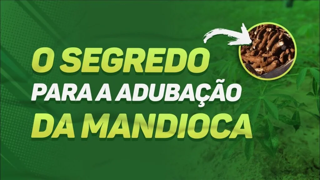 Adube sua mandioca: Segredo revelado! 7 adube sua mandioca segredo revelado