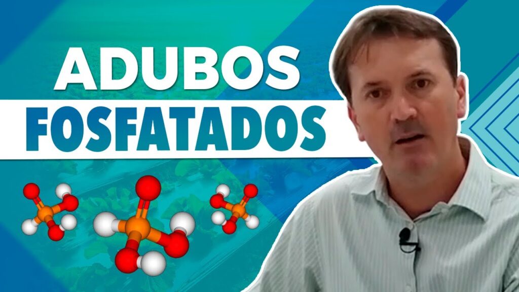 Adubos fosfatados: dicas com Edson Mattiello 2 adubos fosfatados dicas com edson mattiello