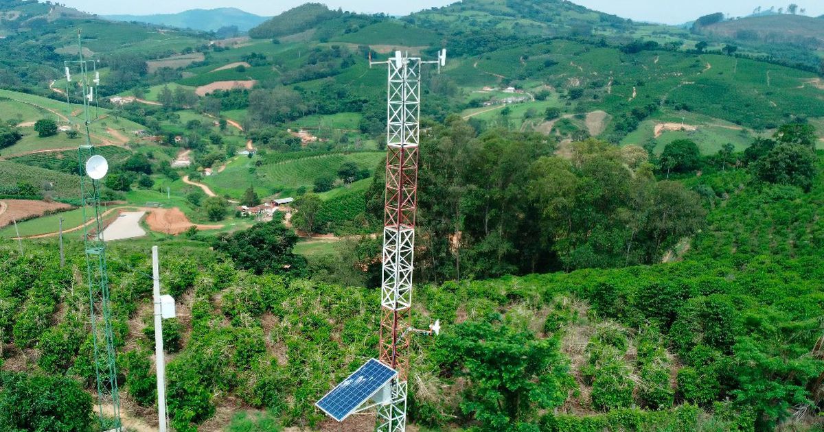 agricultores mais de 70 compram online 1