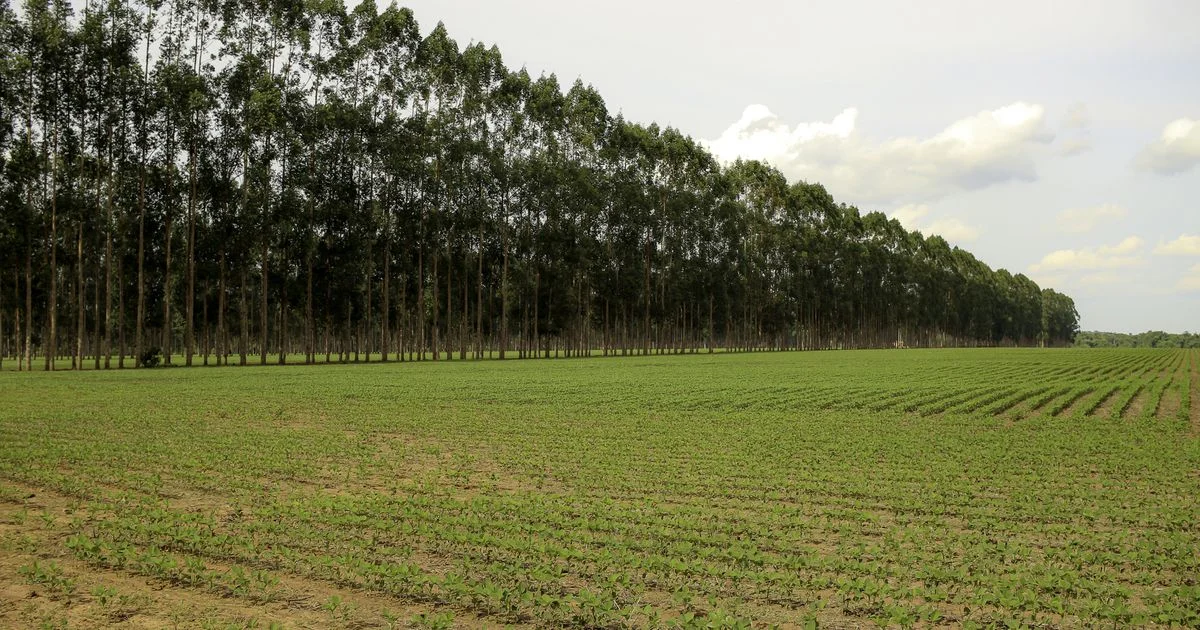 Agricultura Integrada: Menos Emissões, Avanços pelo Brasil