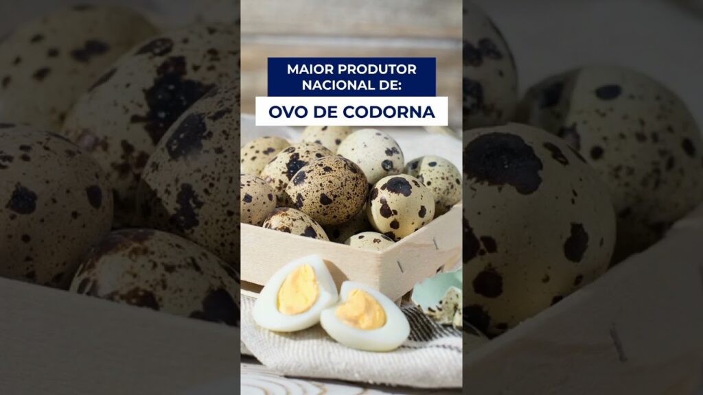 agronegocio no es 5 fatos f09f8cbf