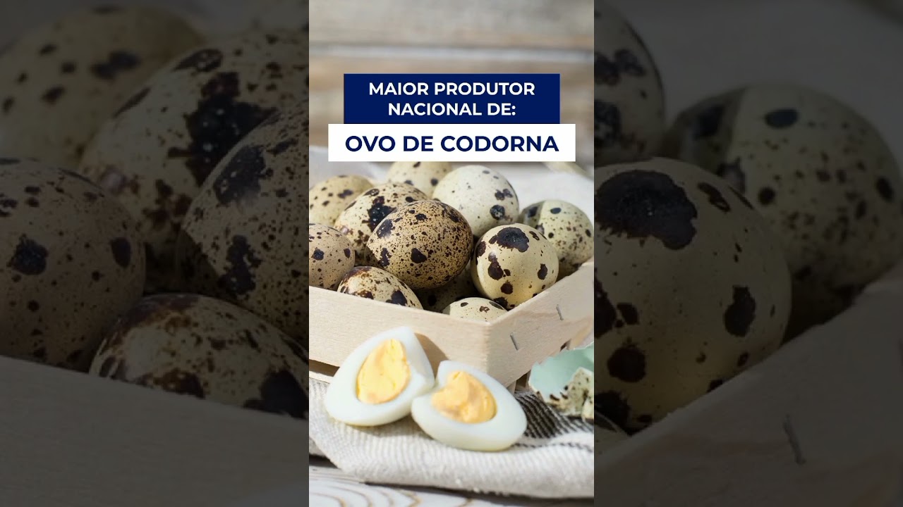 Agronegócio no ES: 5 Fatos! 🌿