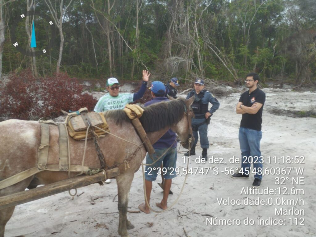 Equinos abandonados causam preocupação e Sedema alerta para o crime de maus-tratos