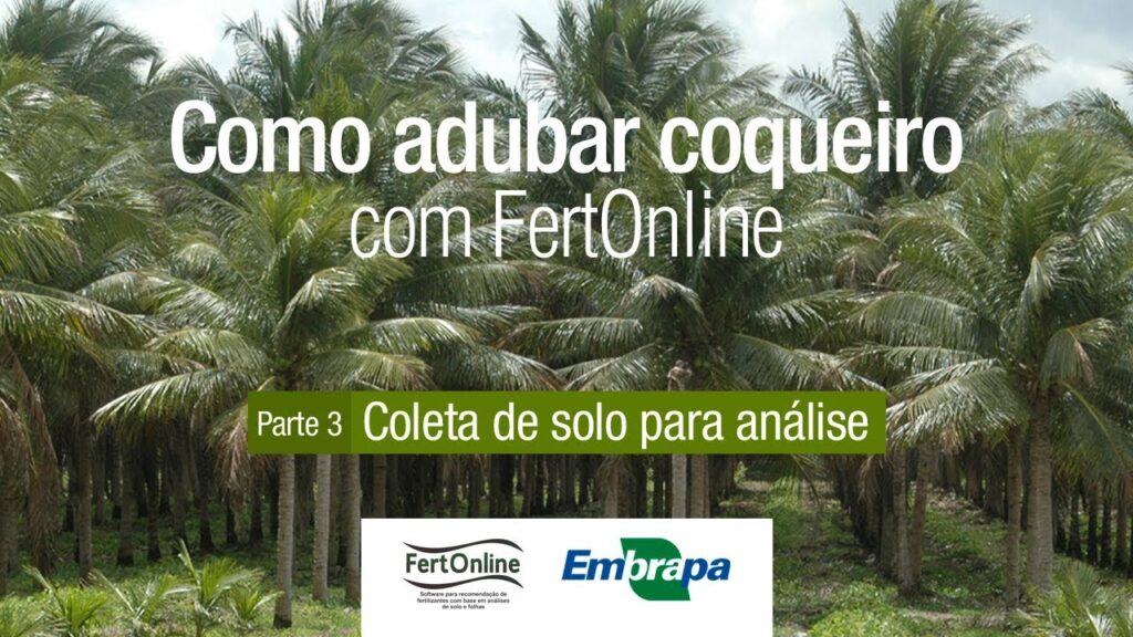 analise de solo adubando coqueiro com fertonline parte 3
