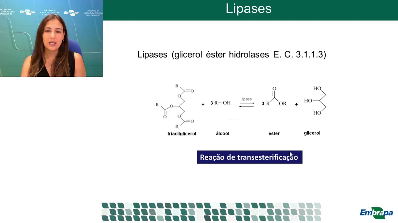 aplicacao de enzimas na sintese de biodiesel
