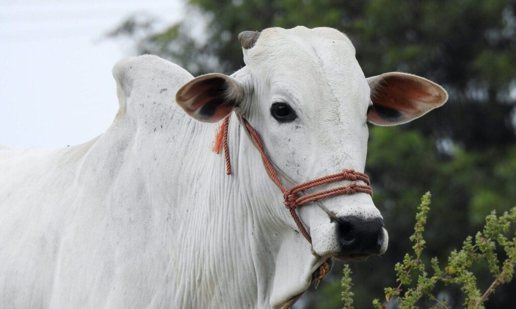 Aprenda a aumentar seus lucros agora 5 saiba como obter e aumente os seus lucros