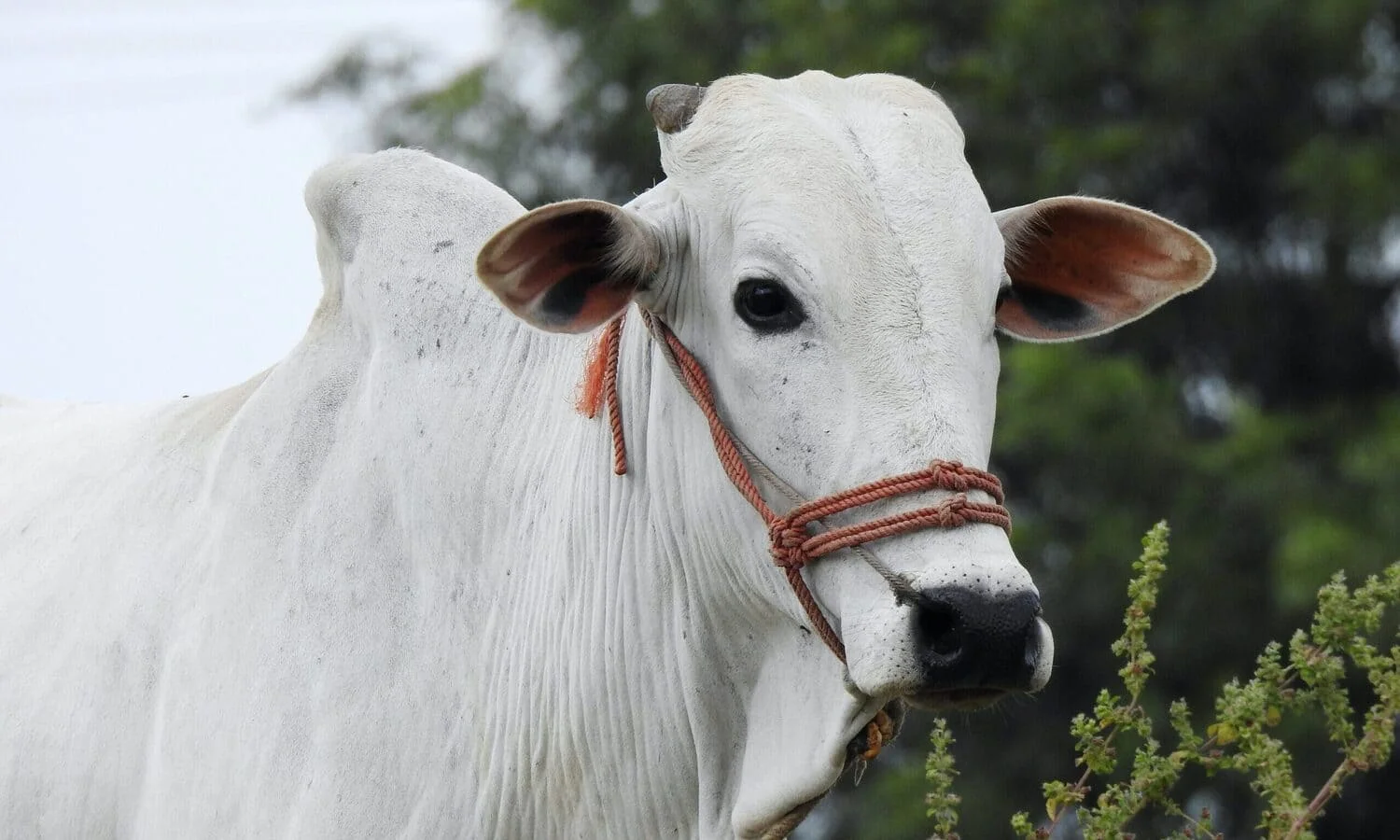 Aprenda a aumentar seus lucros agora 4 saiba como obter e aumente os seus lucros