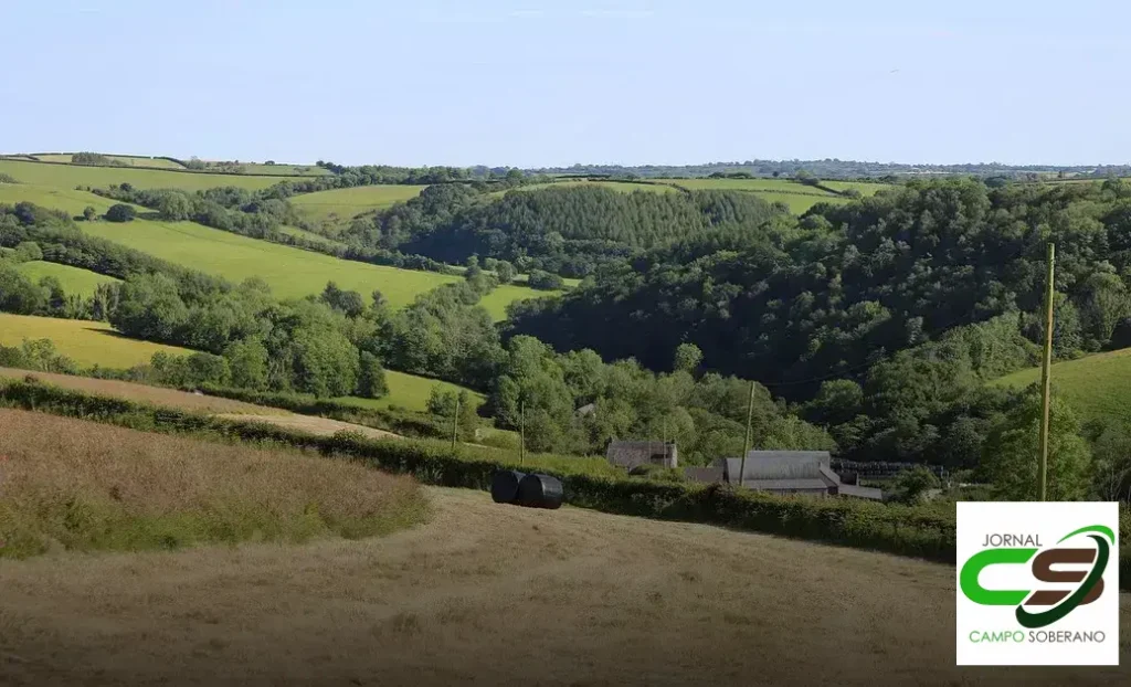 As melhores variedades de cana-de-açúcar para silagem 2 variedades de cana-de-açúcar para silagem