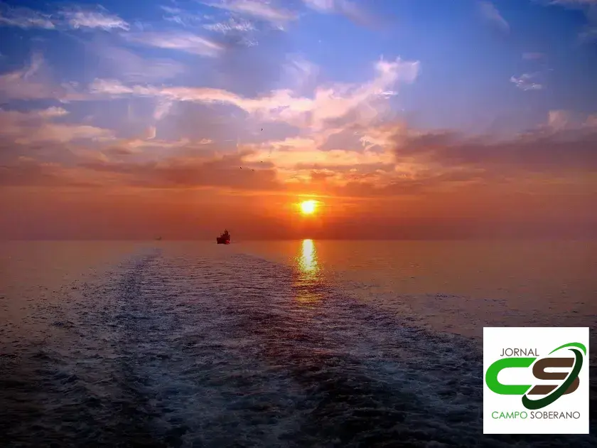 variedades de capim para silagem