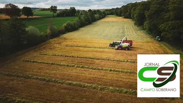 Aspectos Financeiros para Produtores