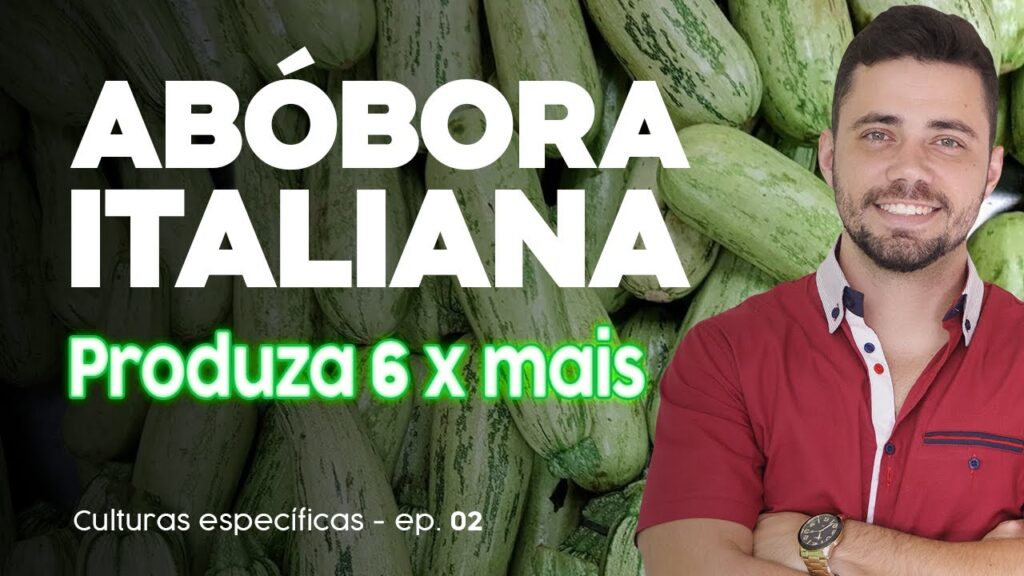 aumente a producao de abobora culturas especificas 01