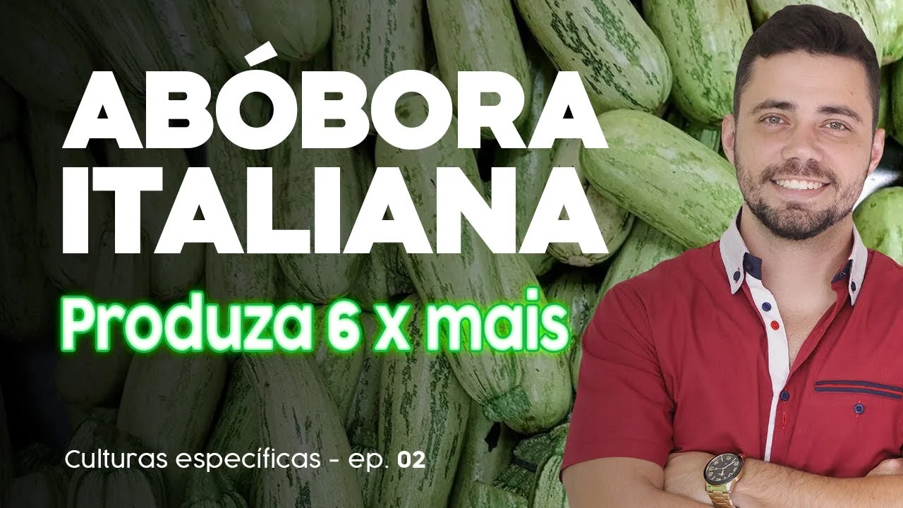 aumente a producao de abobora culturas especificas 01