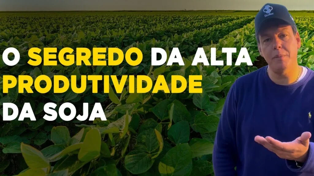 aumente sua produtividade com soja