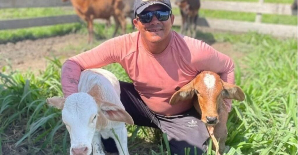 Você viu? Produtor de leite aumenta produção em 30% com cuidados com saúde do rebanho