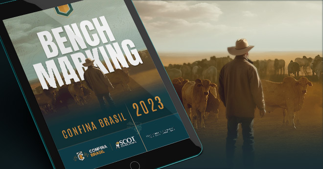 Benchmarking 2023: Novidades do Confina Brasil
