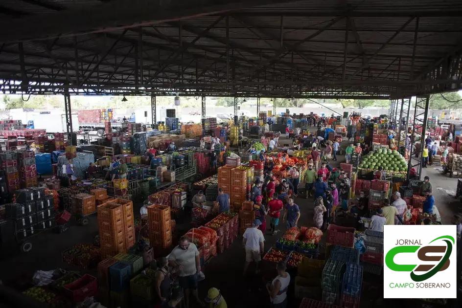 Benefícios de Agregar seu Caminhão no Mercado Central do Rio de Janeiro