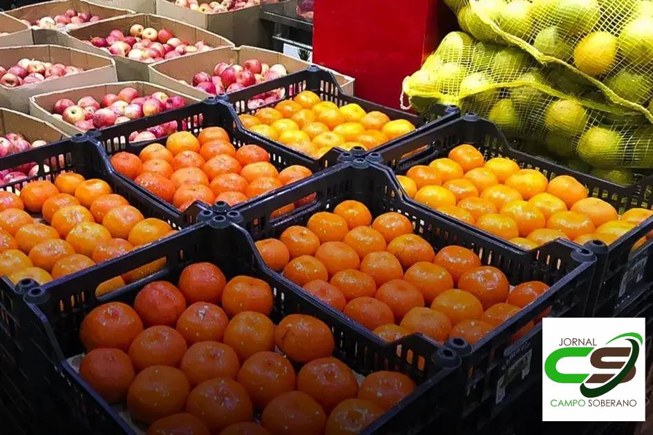 Benefícios de comprar frutas e verduras frescas no Ceasa