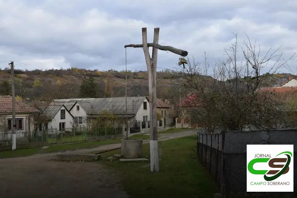 Benefícios Diretos para a Produção e Conservação da Silagem