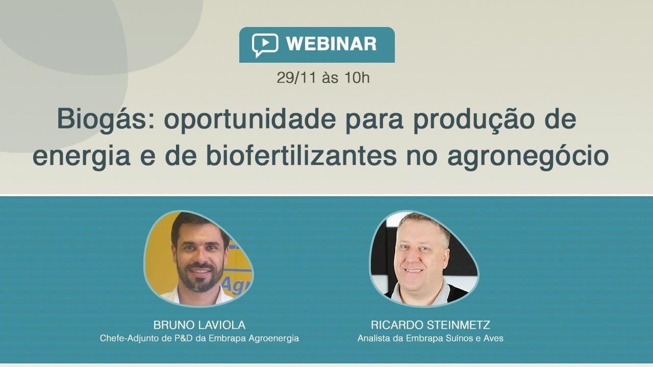 biogas oportunidade para producao de energia e de biofertilizantes no agronegocio