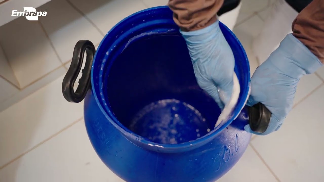 boas praticas em qualidade do leite limpeza de utensilios da ordenha