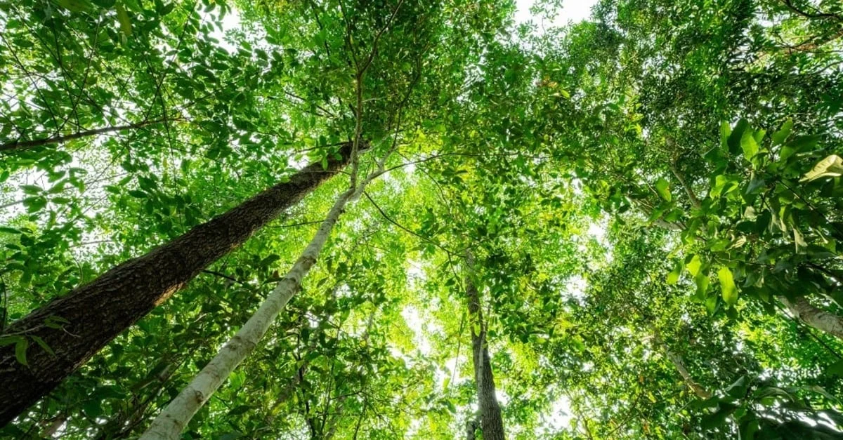 Câmara debate oportunidades para o Brasil 4 câmara temática debate oportunidades para o Brasil