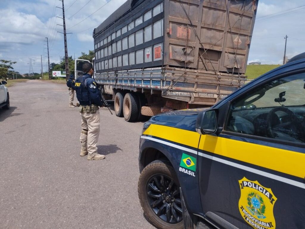 Carvão ilegal apreendido em fiscalização 6 Carregamento de carvão ilegal é apreendido durante fiscalização