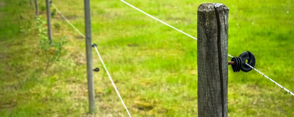 Cerca elétrica para gado: benefícios e instalação 2 Facebook
