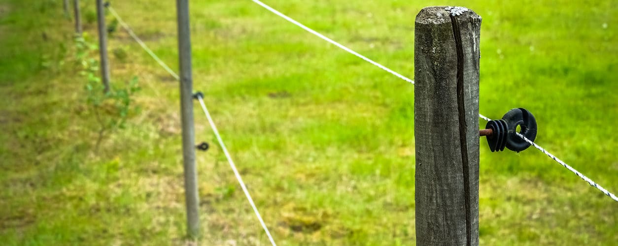 Vantagens da cerca elétrica para gado e instalação 17 Vantagens da cerca elétrica para gado e instalação