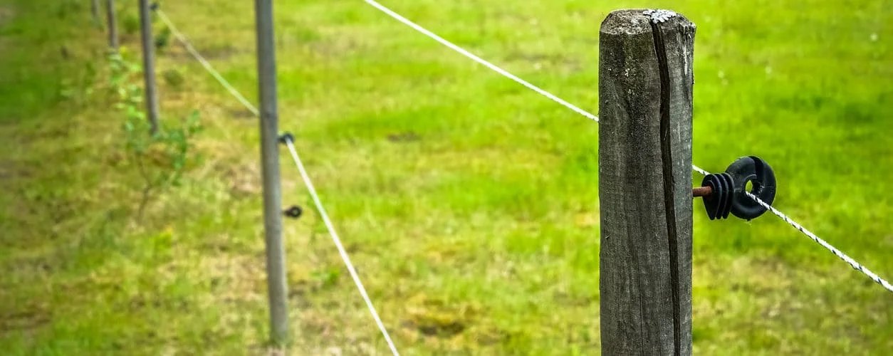 Cerca elétrica para gado: benefícios e instalação 18 Facebook
