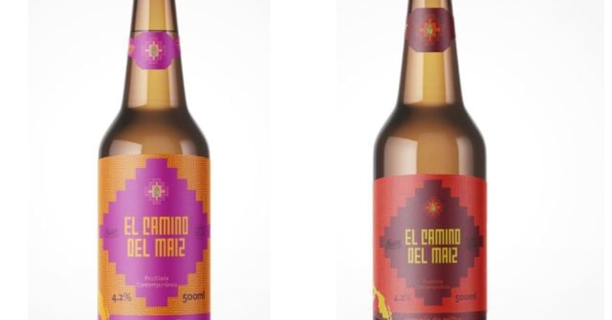 Variedades de milho viram cervejas artesanais em Santa Catarina