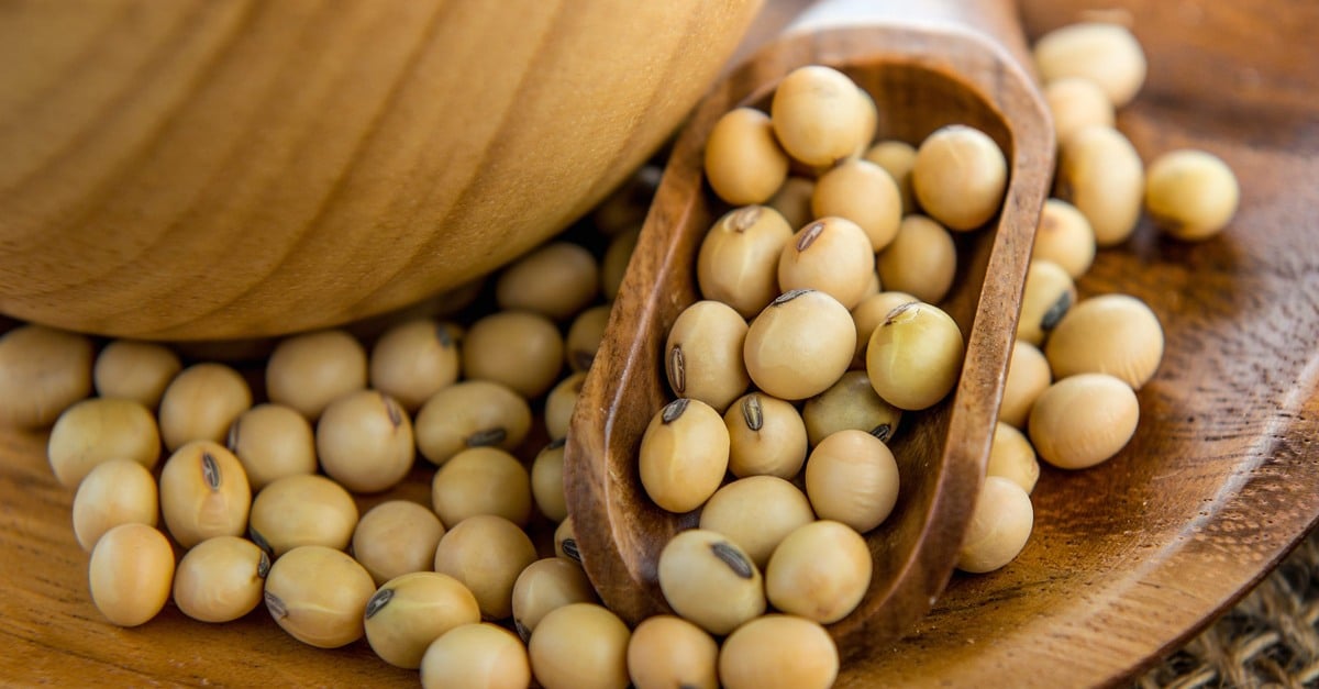 Chicago busca ação de correção.BooleanFieldFalse