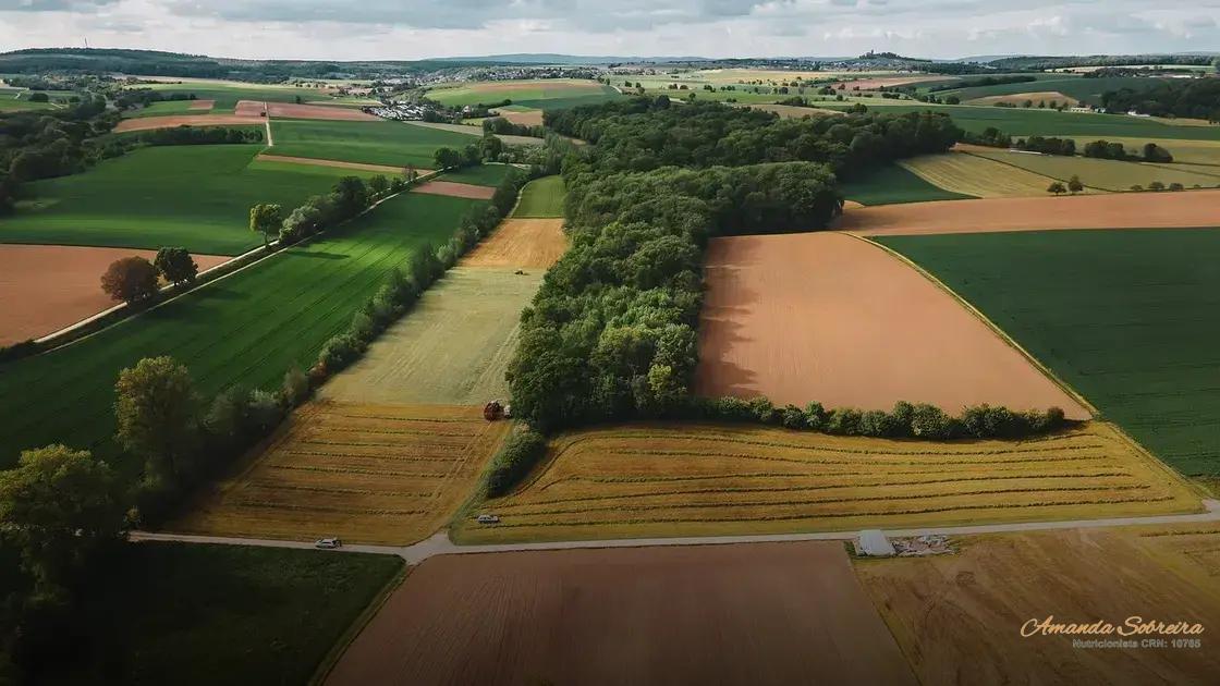 Como Avaliar a Qualidade dos Materiais dos Sacos de Silagem