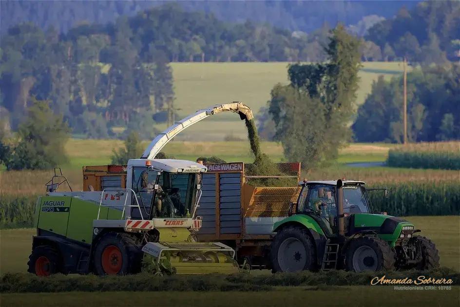 Como escolher o saco para silagem ideal para sua fazenda