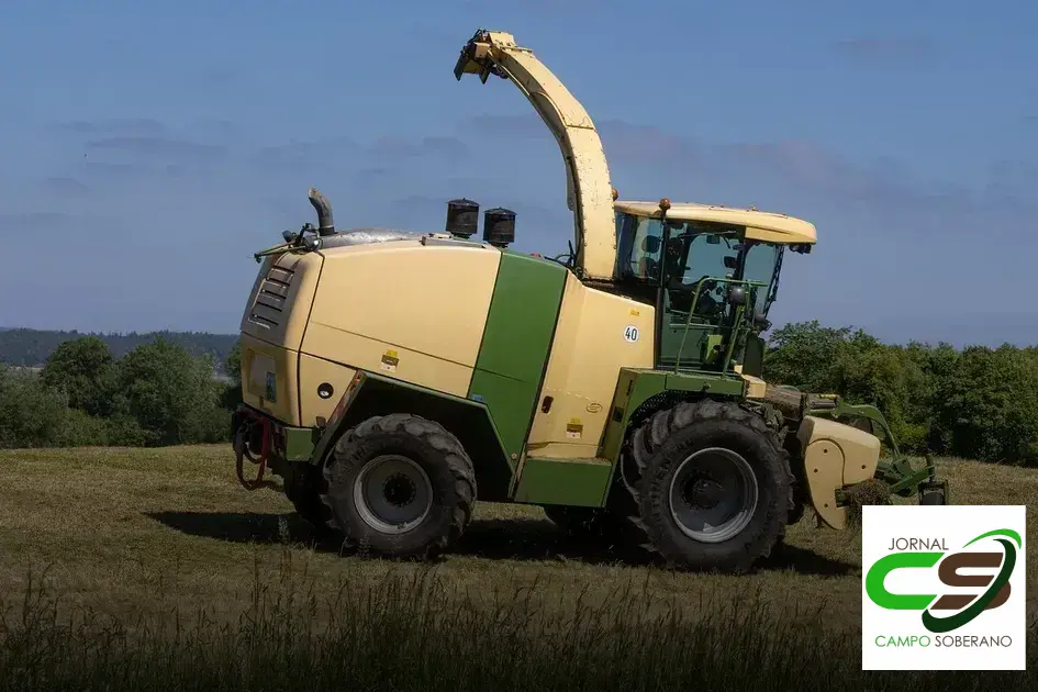 Como evitar a perda de nutrientes na silagem de sorgo 2 silagem