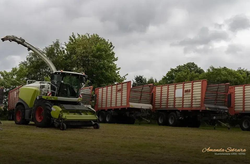 Como Fazer Silagem de Qualidade e Garantir a Conservação Como Fazer Silagem de Qualidade e Garantir a Conservação