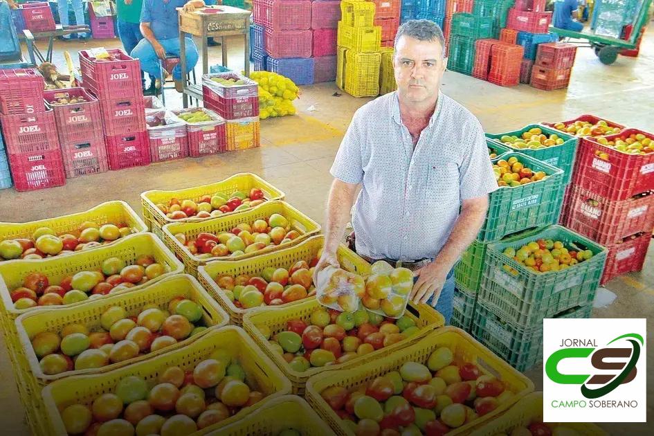 Como o CEASA Influencia os Preços de Frutas e Verduras no Mercado